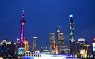 上海品茶一条龙：2025年都市茶文化沉浸式风潮揭秘