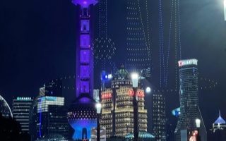 上海大龙凤419：城市夜影下的文化与困惑